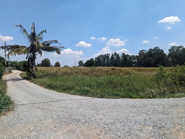 ขายที่ดิน แปลงสวย พนัสนิคม ชลบุรี ติดถนน 3 ด้าน 12-3-71 ไร่ ทำเลทอง ศุขประยูร-พนัสนิคม โทร 0818213624